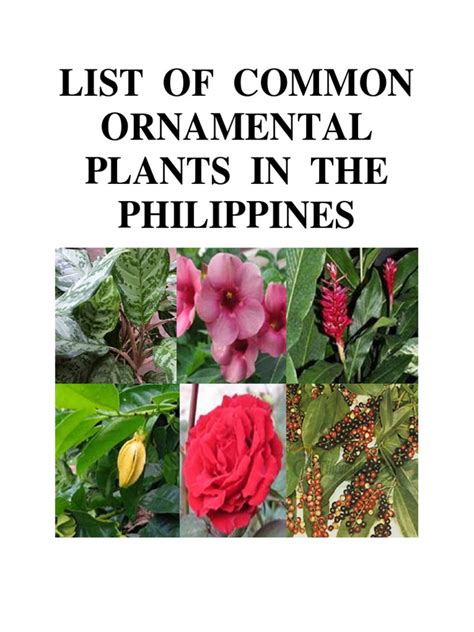 list of philippine plants.